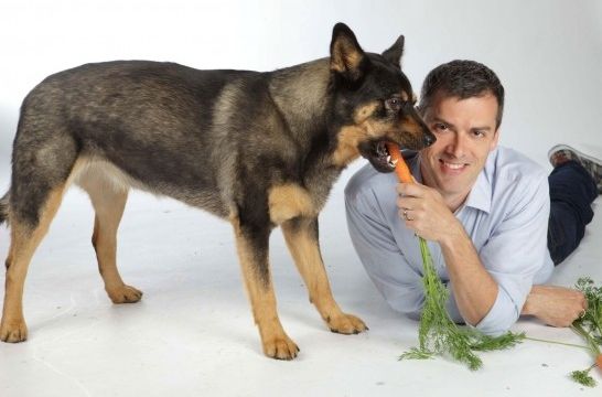 Img perros comida alimentacion natural mascotas cocina casera verdura frutas listg