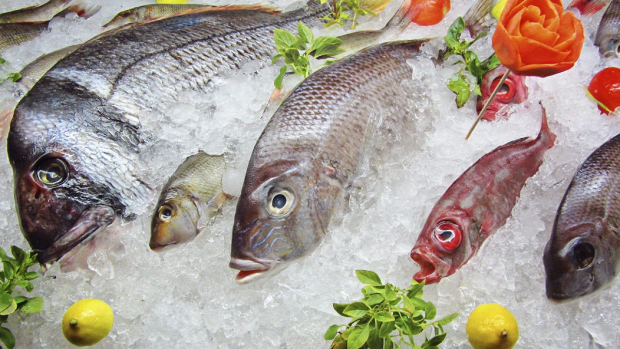 Un grande del pescado congelado entra en pescadería moderna