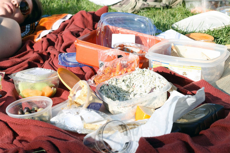 Img picnic
