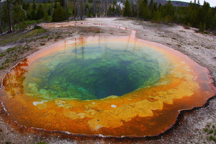 Img yellowstone