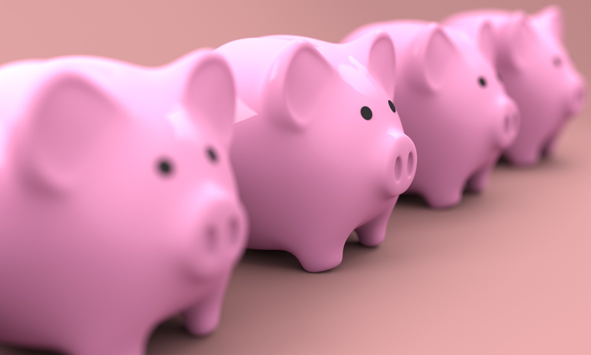 Piggy 2889044