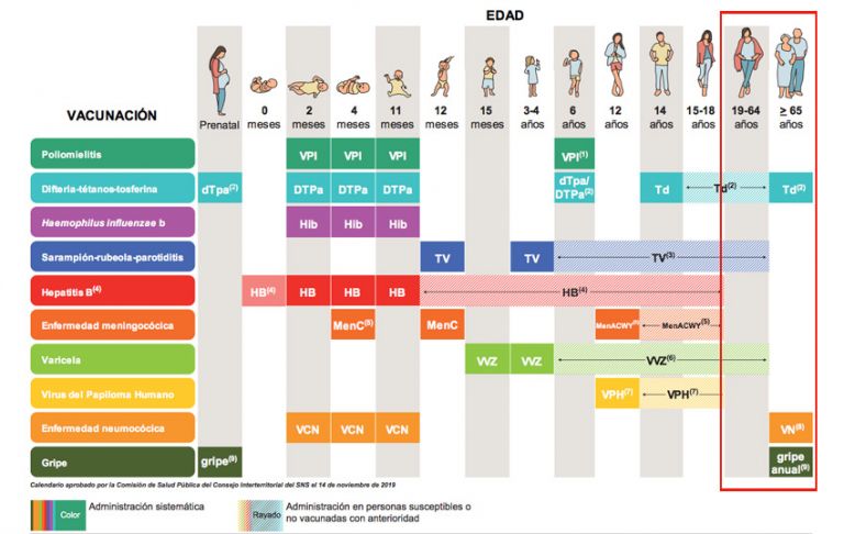 Calendario de vacunas para adultos | Consumer