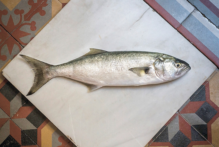 pescado histamina