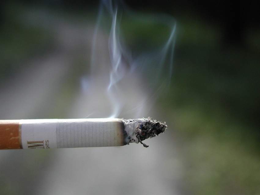 cigarro cancer pulmon