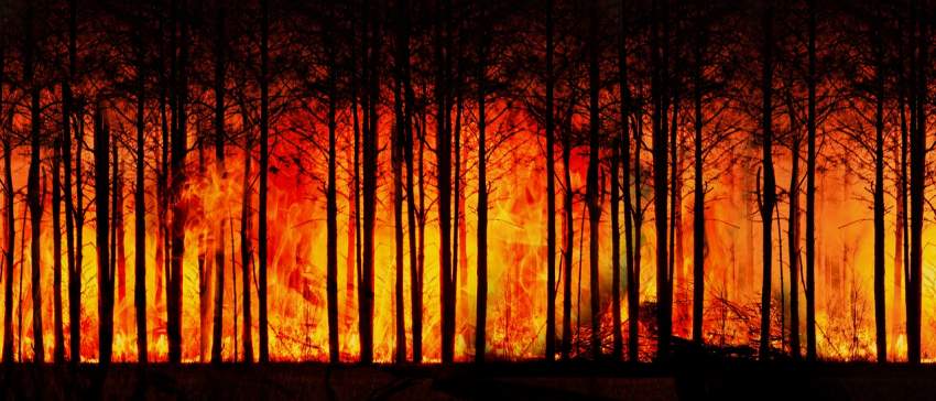incendio forestal desastres naturales