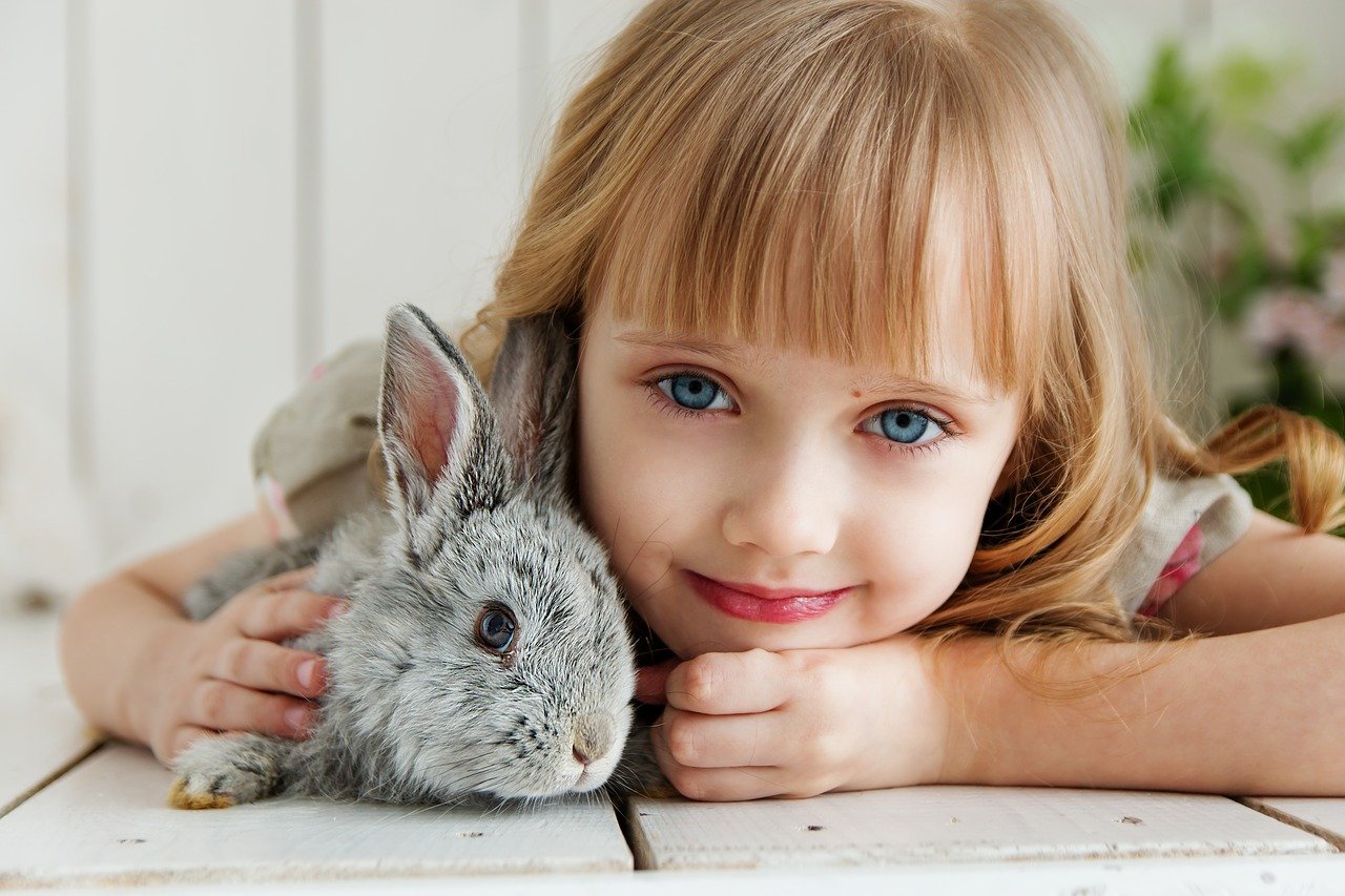 ventajas de conejo como mascota