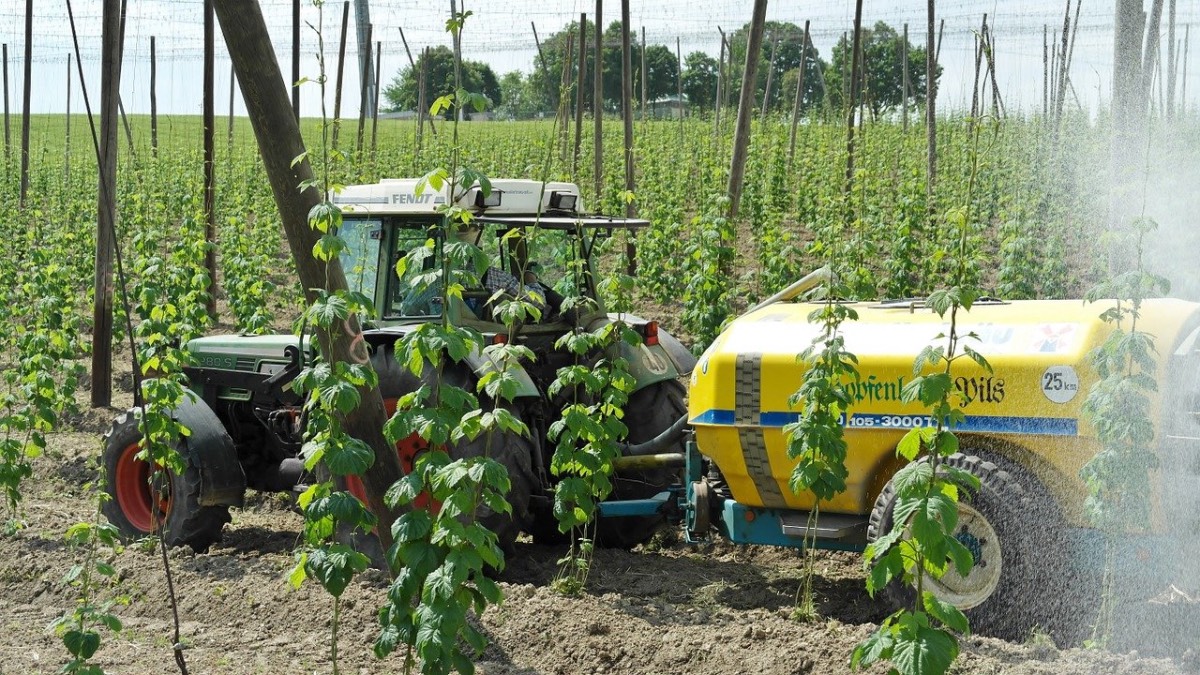 riesgos pesticidas y fertilizantes