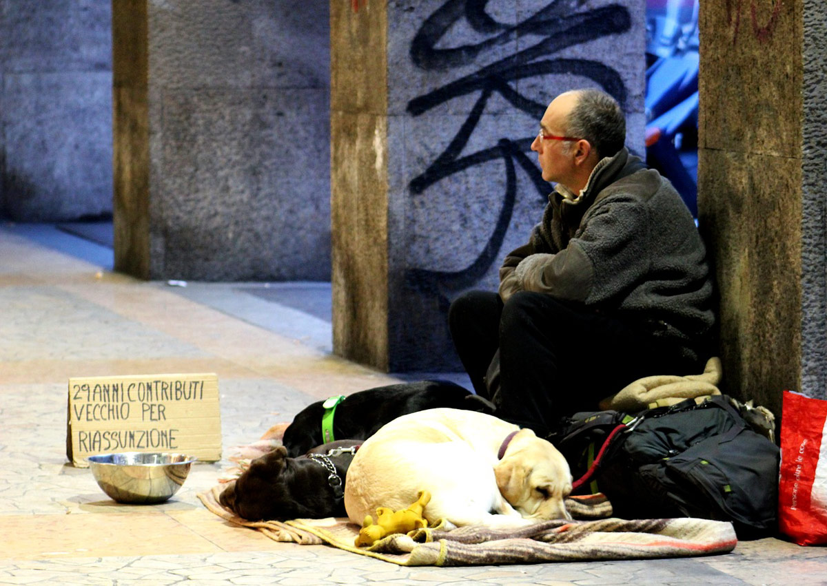 persona sin hogar perro compañía