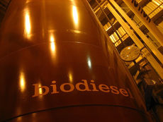 La situación de los biocombustibles en España