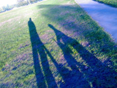 Autoritarismo versus permisividad