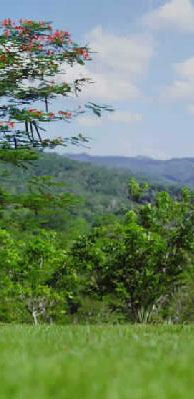 Prevenir la contaminación