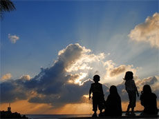 Requisitos obligatorios