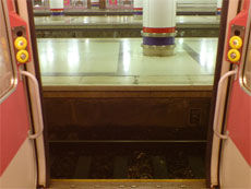 Qué dice la legislación