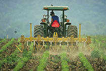 Las conclusiones generales