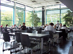 Obligación principal