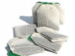 Ginkgo y función cerebral