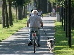 Combinación de hábitos y genes