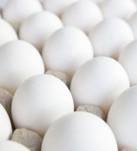 Una sombra llamada colesterol